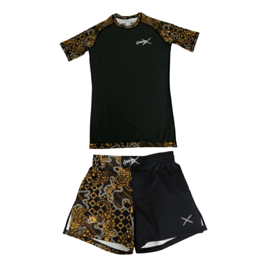 Premium BJJ & MMA Gear Inferno - Rash Guard review and price